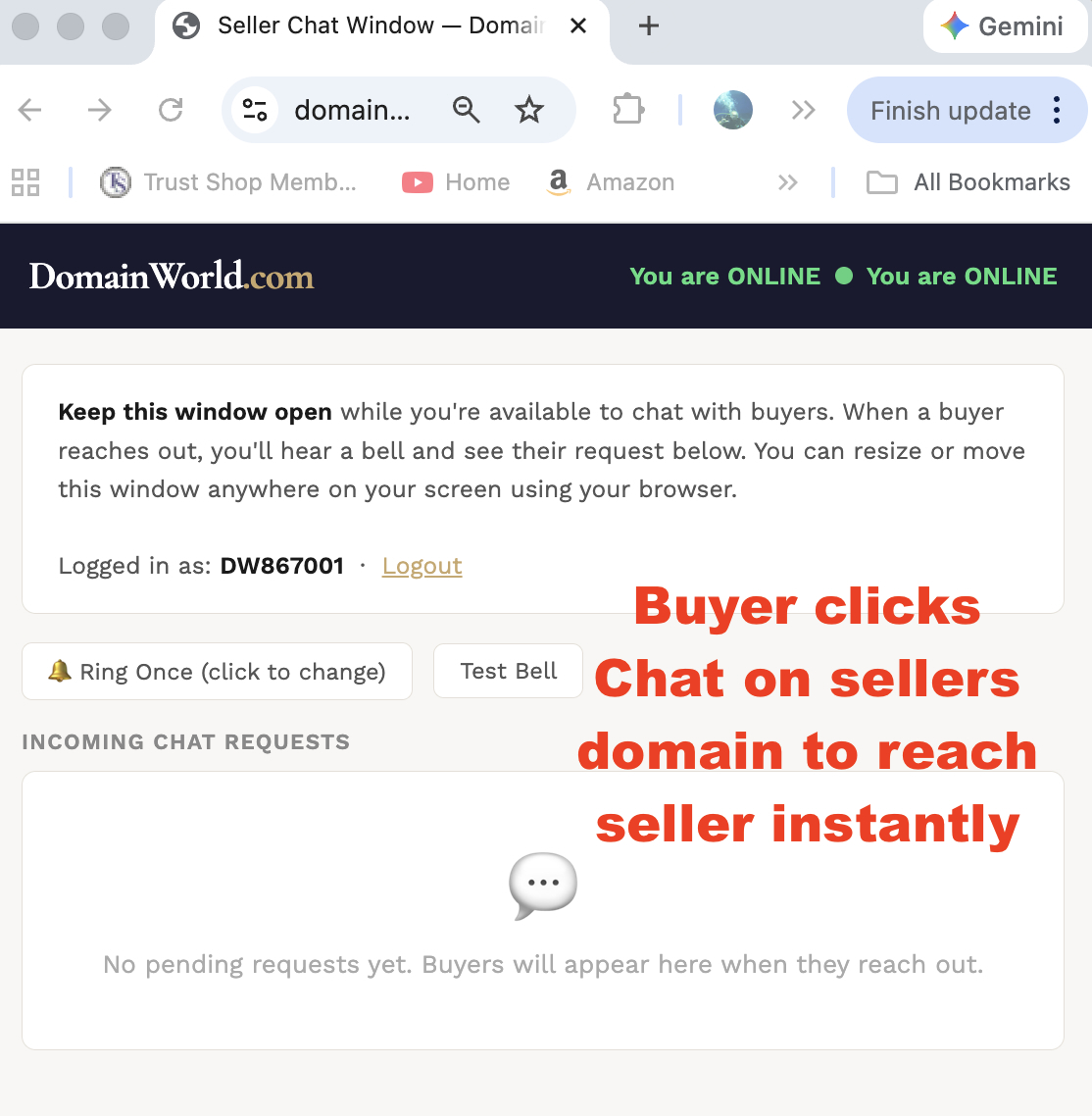 DomainWorld live chat — domain card icon and chat room