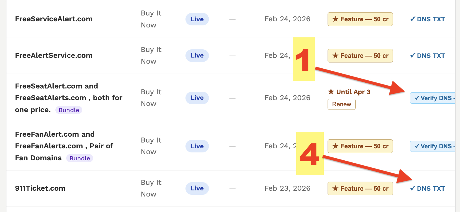 DomainWorld DNS TXT ownership verification flow